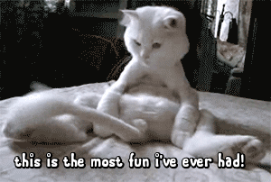 0076ad7fe1129883cf69ac6465493683.gif