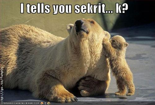 funny-pictures-bear-secrets.jpg