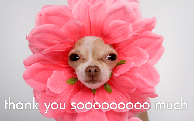 thankyou-sample.jpg