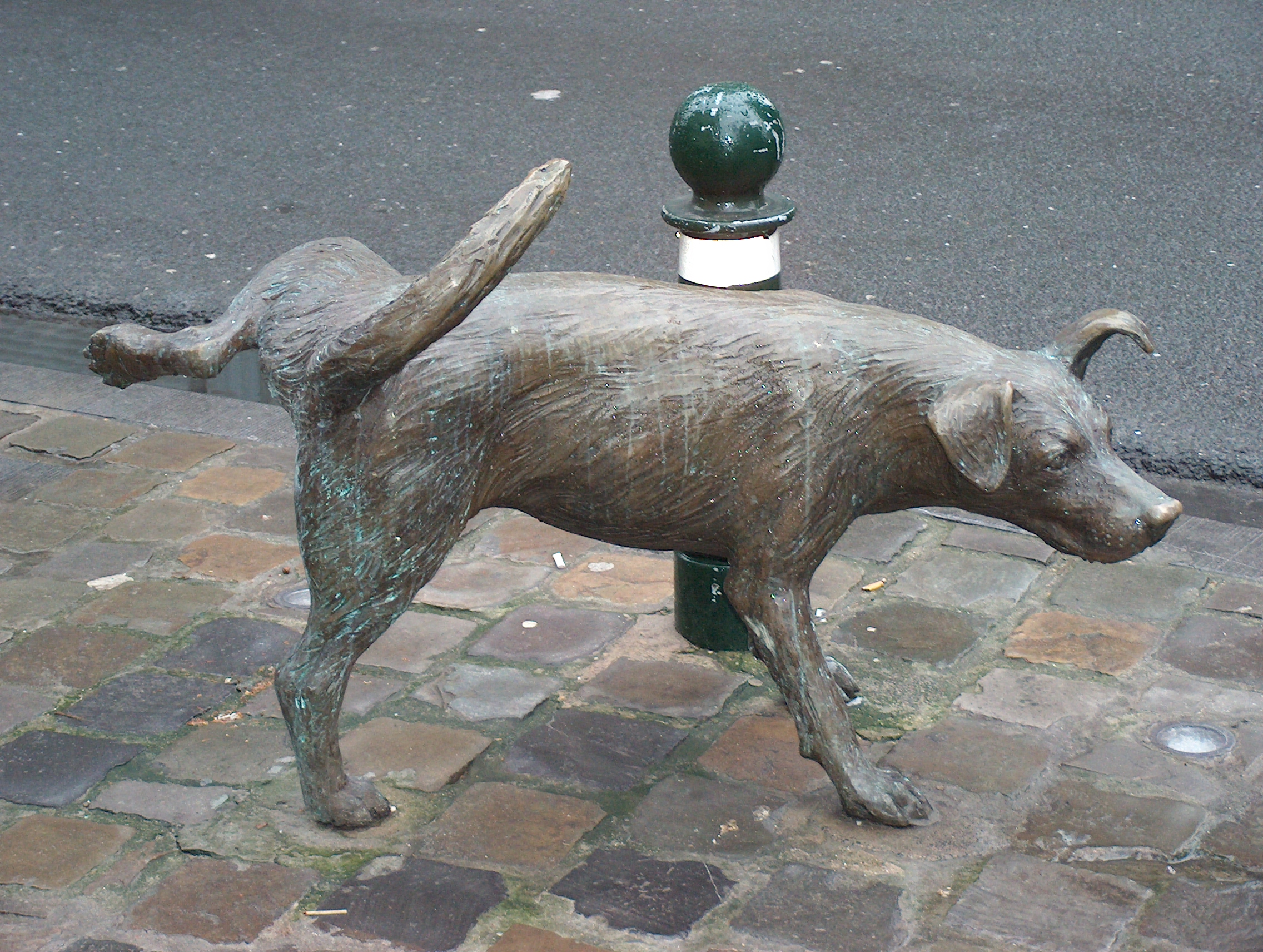 pee-dog2.jpg