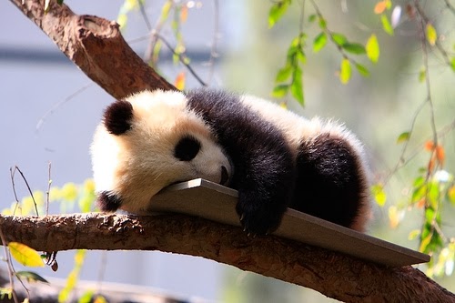 tired.jpg