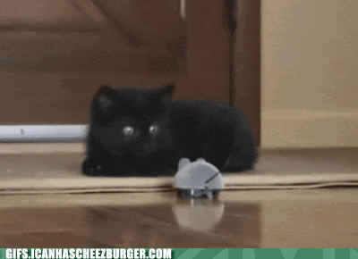 eek