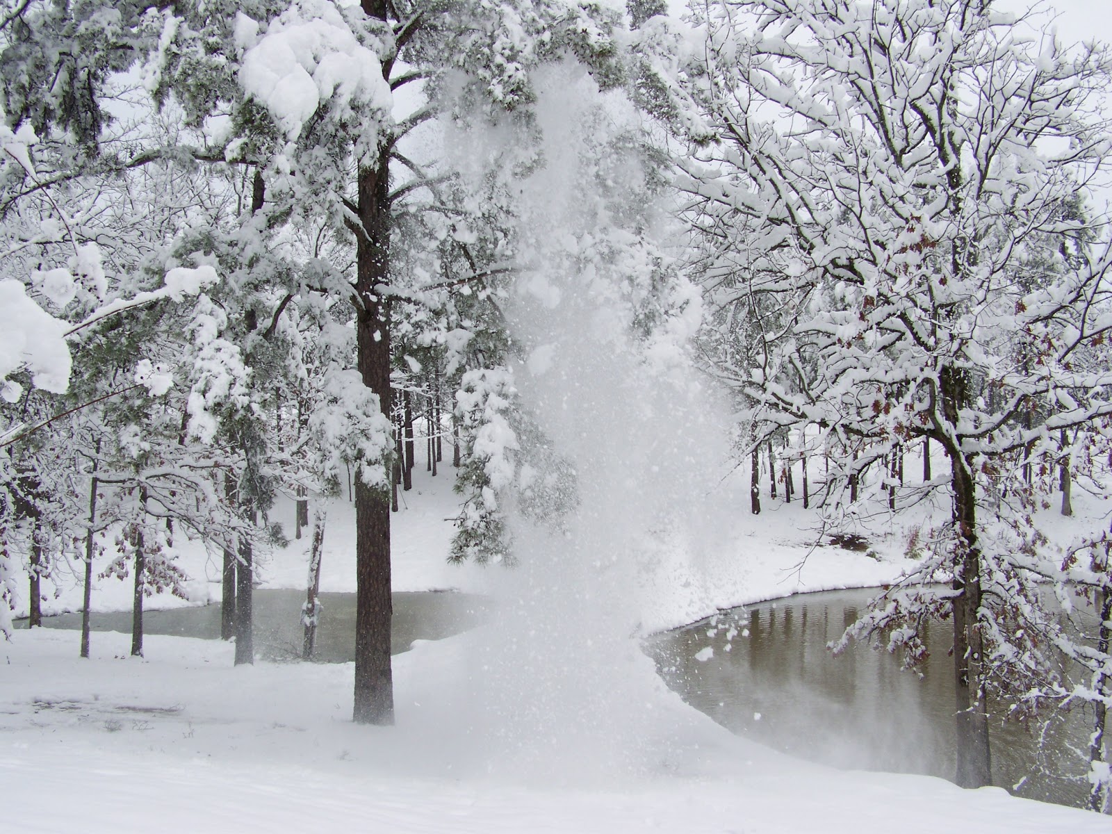 snow+falling.JPG