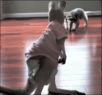 come-at-me-diaper-bro
