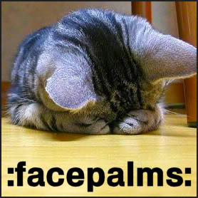 uh65410,1283268797,facepalm_cat.jpg