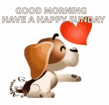 de18c5d00e5f951fd1e5c3a985ae2dbd.gif