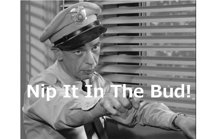 nipitinthebud.jpg