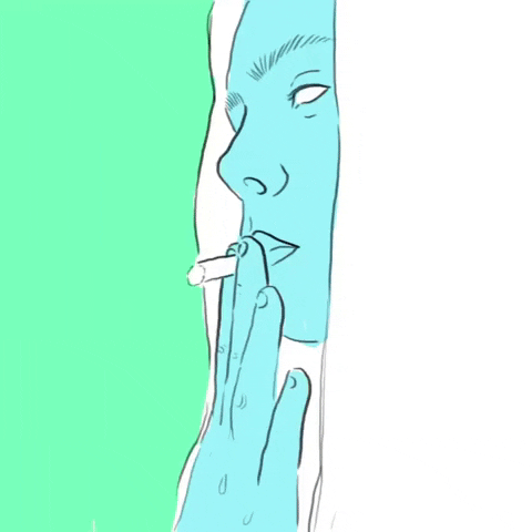 giphy.gif