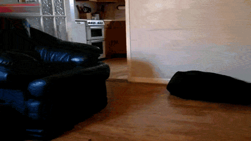 derp