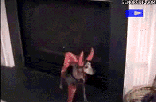 20.gif