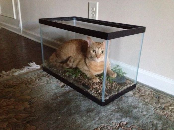 acid_picdump_59.jpg