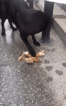 7df303606d7216262e94b0d6ad5bfb96.gif