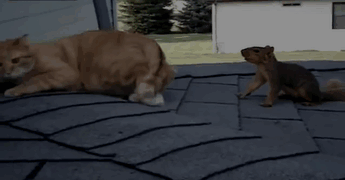 get-away-from-me-you-nut