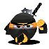 ninja2.gif