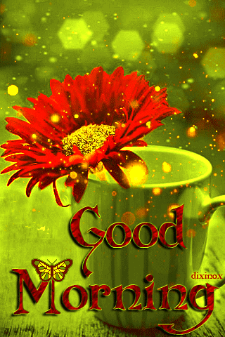 4244b5150ac52ef0df739e22919d5205.gif