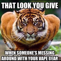 23b0bdde997db6df78659e9cff7e7193.jpg