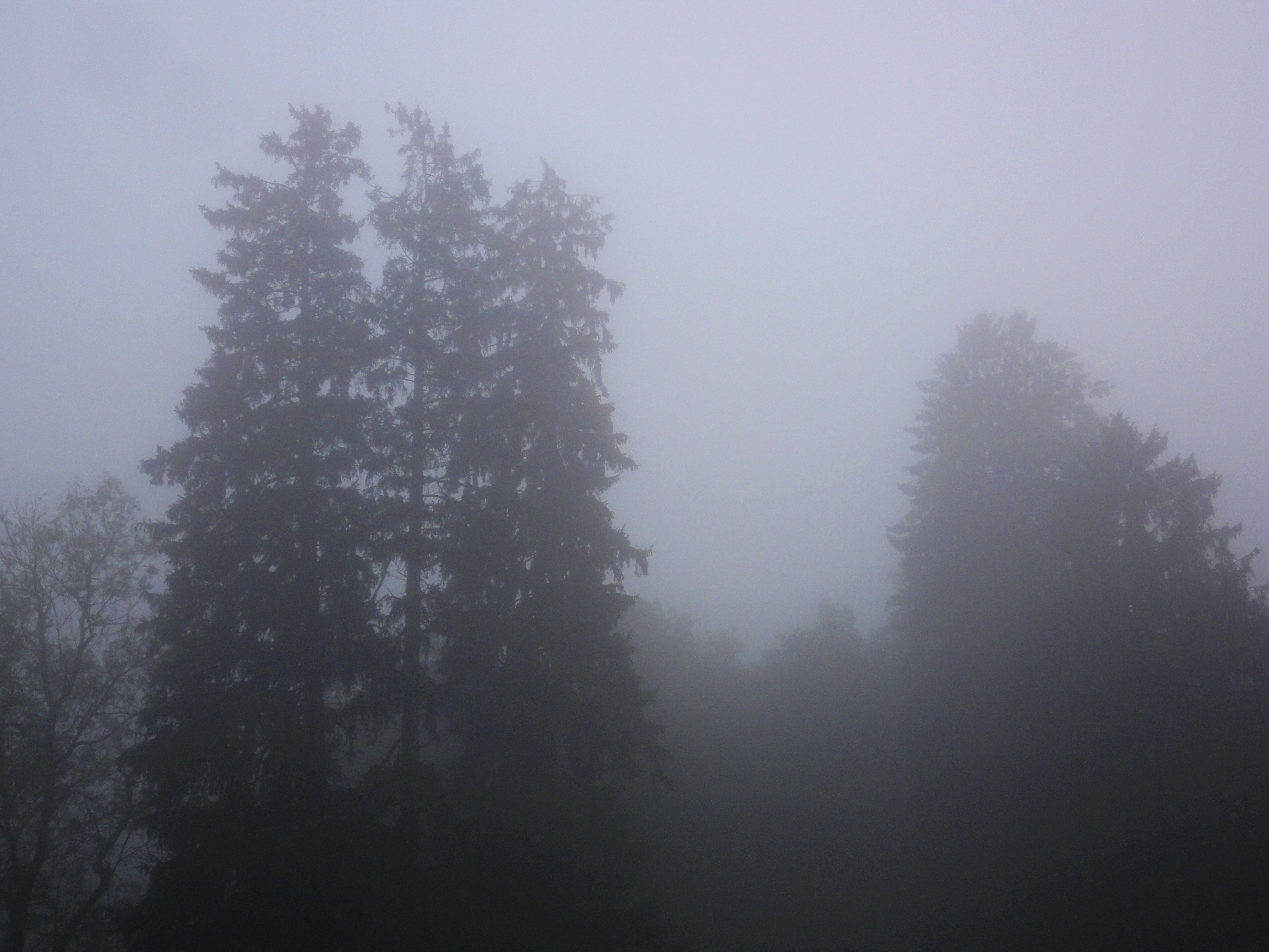 dsc07089.jpg