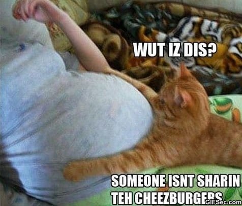 LOL---What-is-this.jpg
