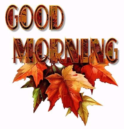 1435748201-FallGoodMorningleaves2-vi.jpg