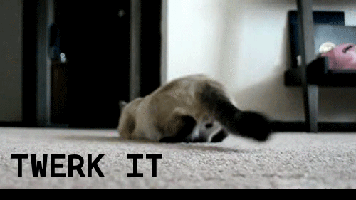 xHOm6sb.gif