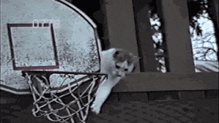 UV5.gif