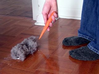 dustbunnies.jpg