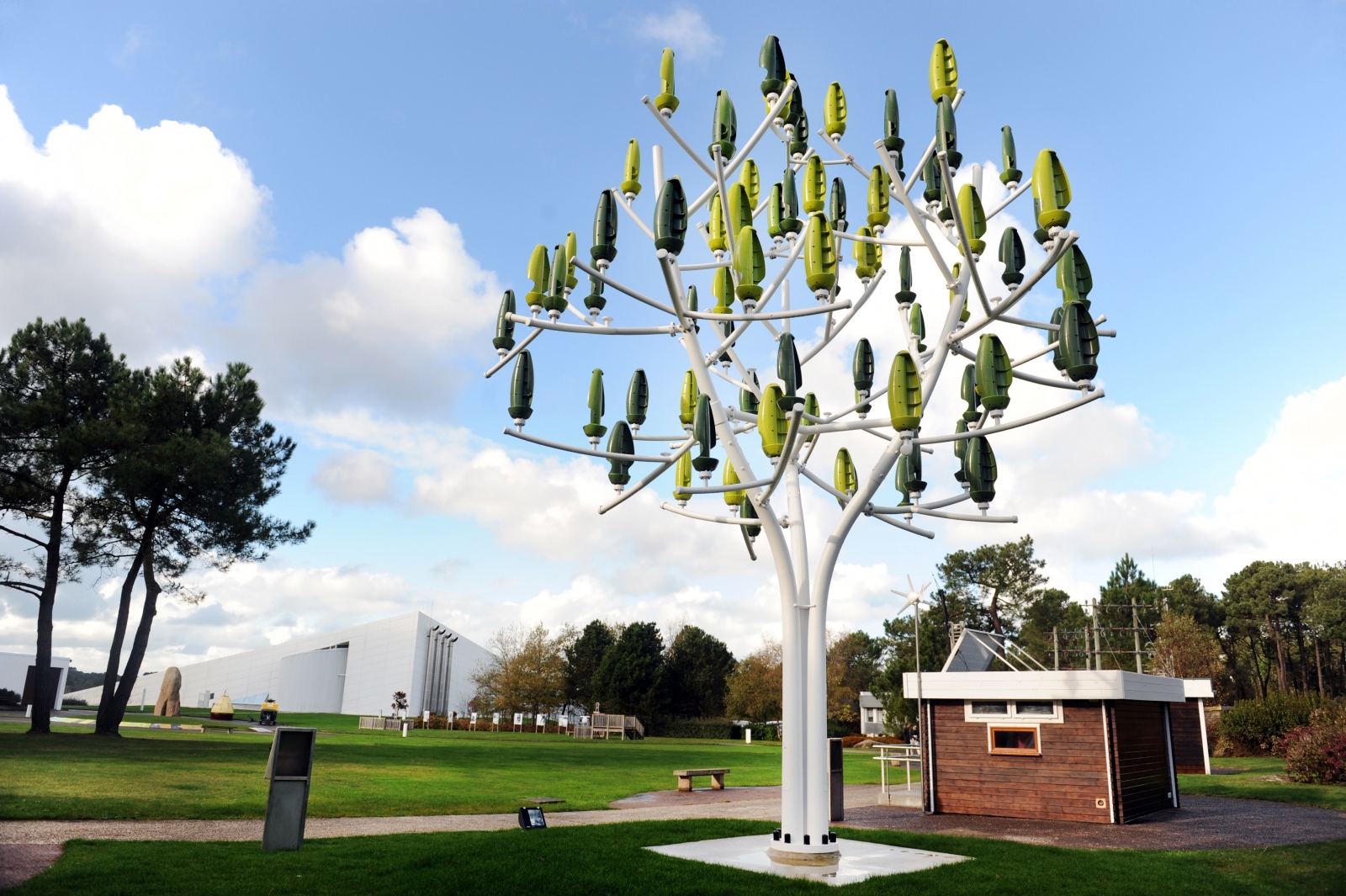 wind-tree.jpg