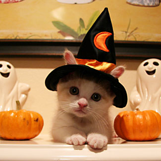 oliver-witch.jpg