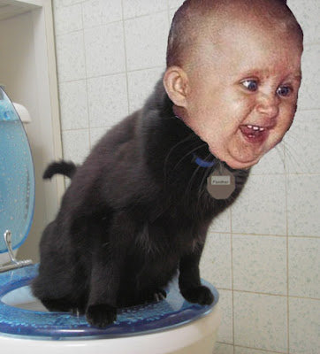babycat.jpg