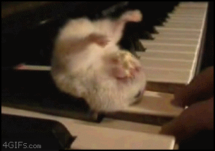 ai1vHqo.gif