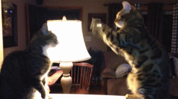instant-karma-can-knock-your-lights-out