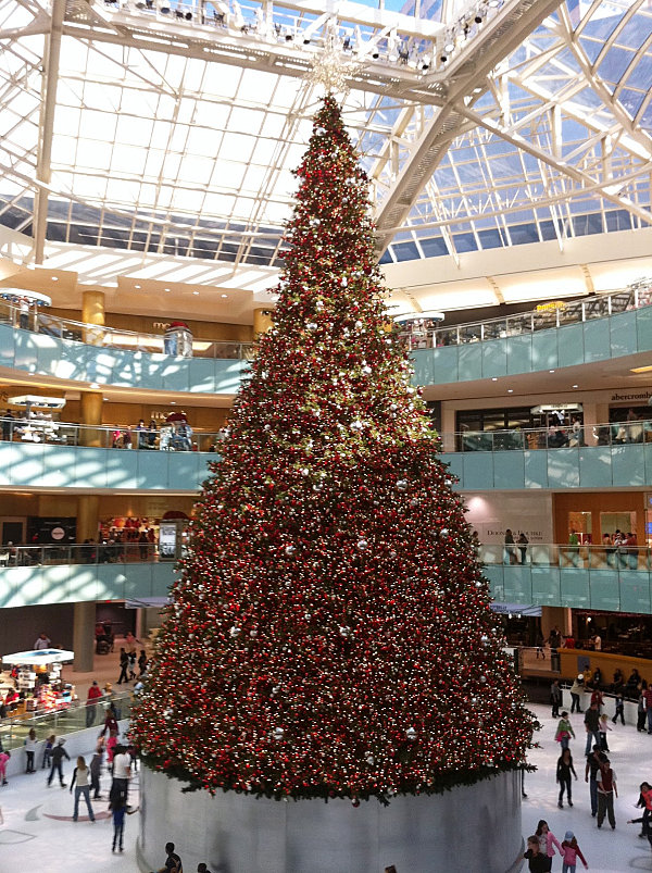 The-Christmas-Tree-at-the-Dallas-Galleria.jpg