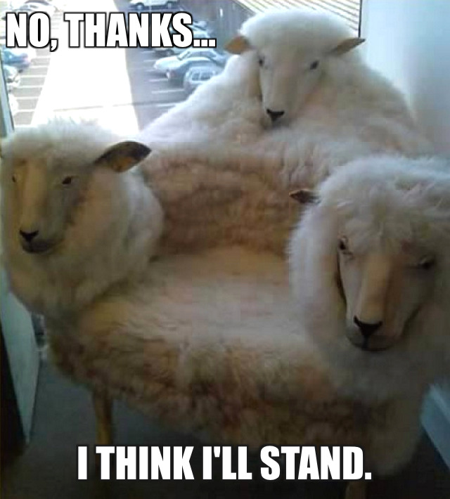 creepy-sheep-head-chair.jpg