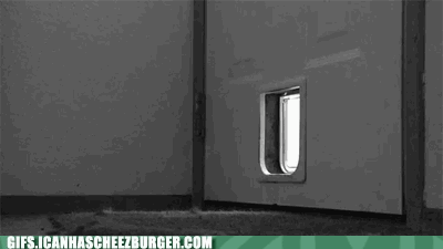 le-door