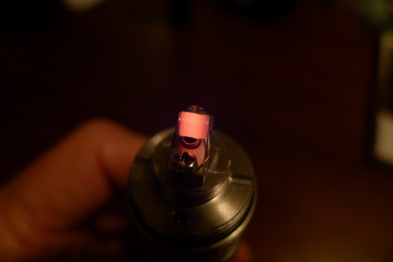 P1010386-L.jpg