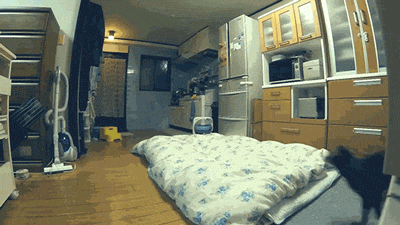 ani_cat-leaps-over-bed.gif