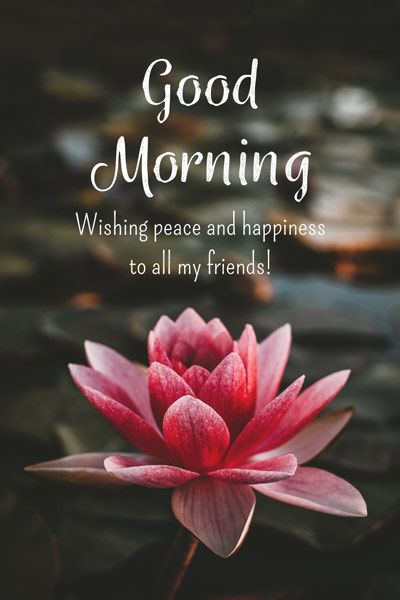 Good-Morning-Quotes-For-Friends.jpg