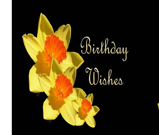 work.4376663.2.flat,550x550,075,f.daffodil-birthday-wishes.jpg