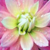 icon028.gif