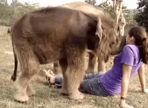 kiss-kisses.gif