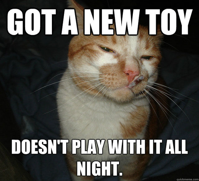 nopaininthebutt_cat_memes_640_20.jpg