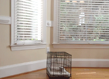 dog-gets-pal-outta-jail