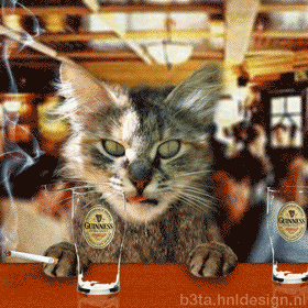 catsmoke.gif