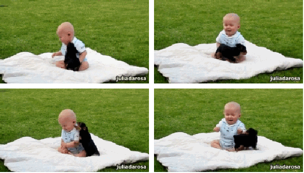 giphy.gif