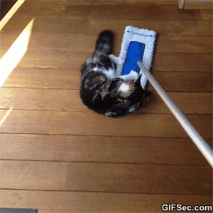 e30c442b4eecf8c3a139ac6b5e3fe8c8.gif