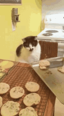 smack-no.gif