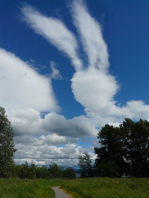 6451af74dc727ca16503571553f56253.jpg