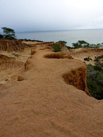 how-one-of-the-trails.jpg