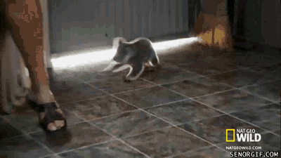 2qiLtPz.gif