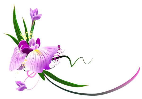 6b184b1112546c91e4a8fab25d59c064.jpg